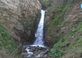 جنگل های پردانان