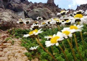 کوه سبلان (ساوالان) کجاست