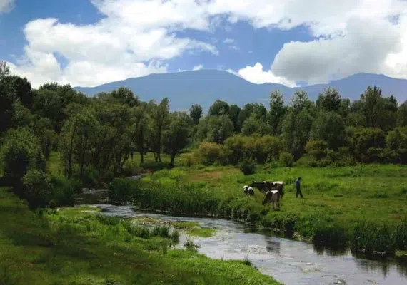منطقه نمونه گردشگری سقزچی