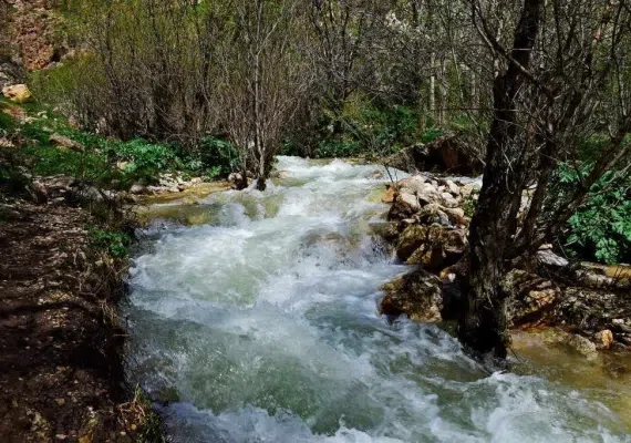 آبشار نره گر اسبو