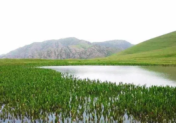 دریاچه قالغانلو
