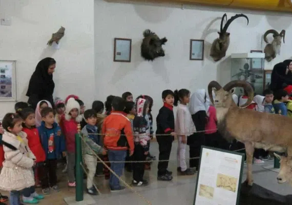 موزه تاریخ طبیعی اردبیل