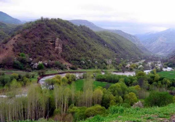 جنگل های پردانان