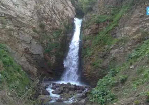جنگل های پردانان