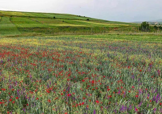 آبشار سردابه