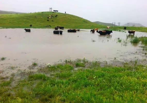 دریاچه قالغانلو