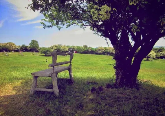 جنگل فندقلو