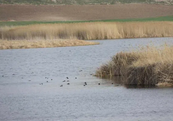 تالاب کانی برازان