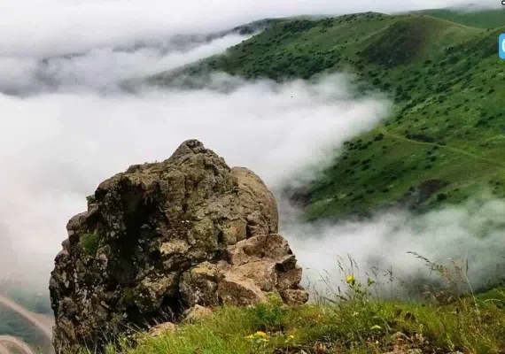 جنگل فندقلو