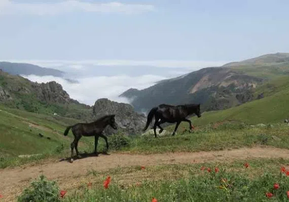 دریاچه نئور اردبیل