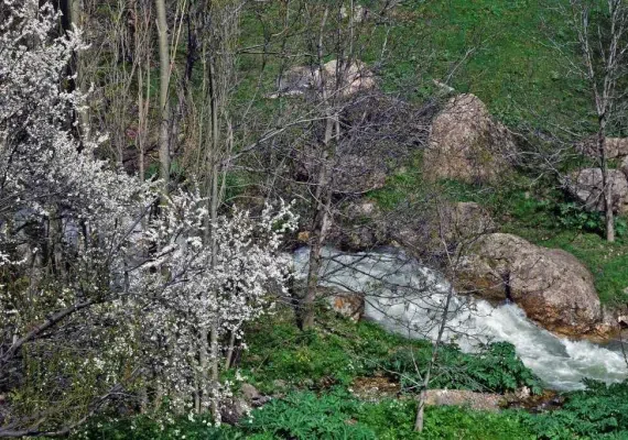 آبشار نره گر اسبو