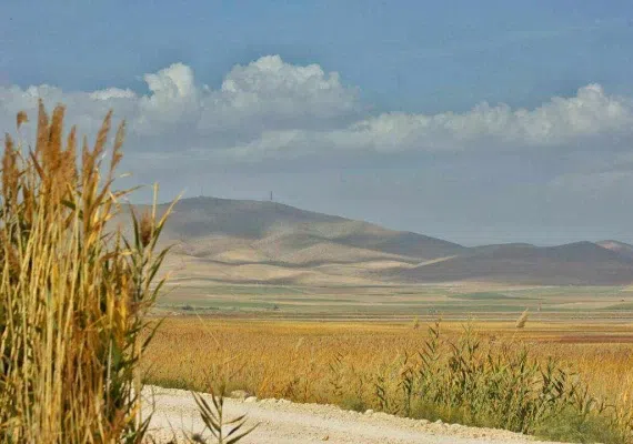 تالاب سولدوز نقده