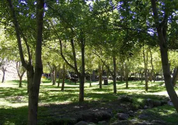 منطقه نمونه گردشگری سقزچی