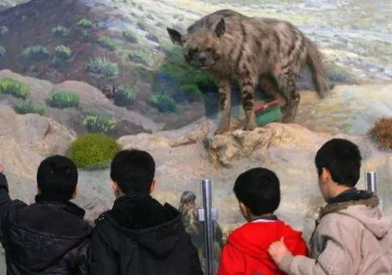 موزه تاریخ طبیعی قم