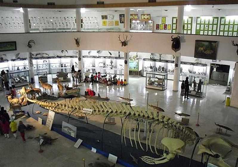 موزه تاریخ طبیعی اردبیل