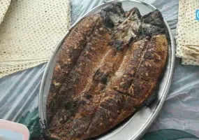 دریاچه زریوار (زریبار) مریوان کجاست