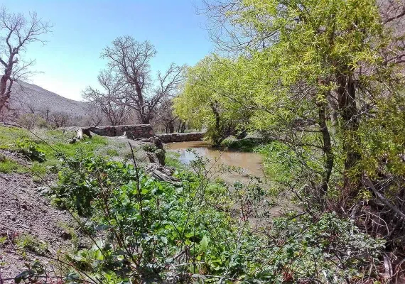 دره بیدسکان فردوس