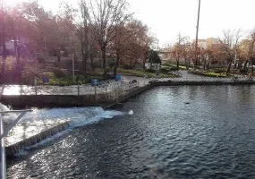 سراب روانسر