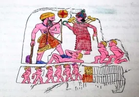 نقش آنوبا نی نی