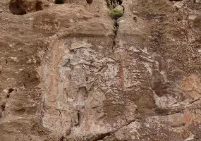 نقش آنوبا نی نی