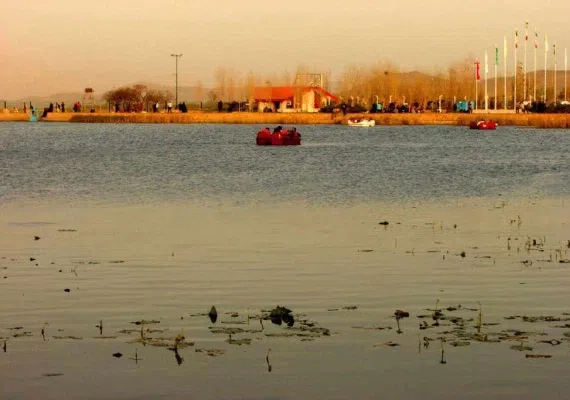 سر آب نیلوفر