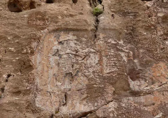 نقش آنوبا نی نی