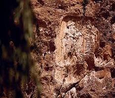 نقش آنوبا نی نی