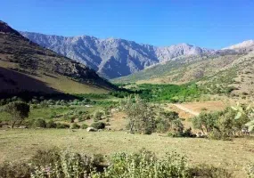 تفرجگاه تخت شاه