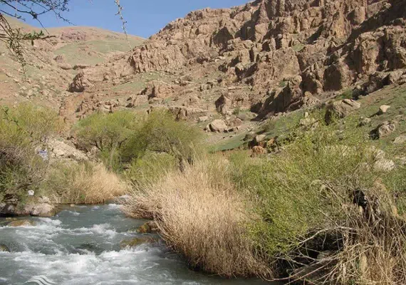 چشمه ونایی