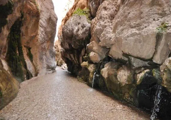 چشمه آبگرم مرتضی علی