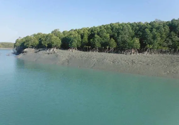 مجموعه تالابهای پلدختر