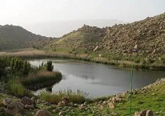 مجموعه تالابهای پلدختر