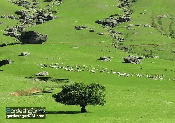 تفرجگاه مخمل کوه(تنگه شبیخون)