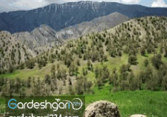 پارک جنگلی چغاسبز