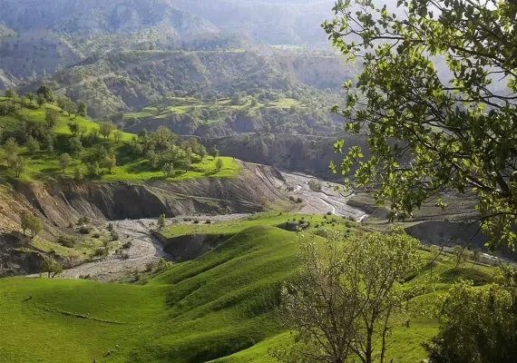 پارک جنگلی ششدار