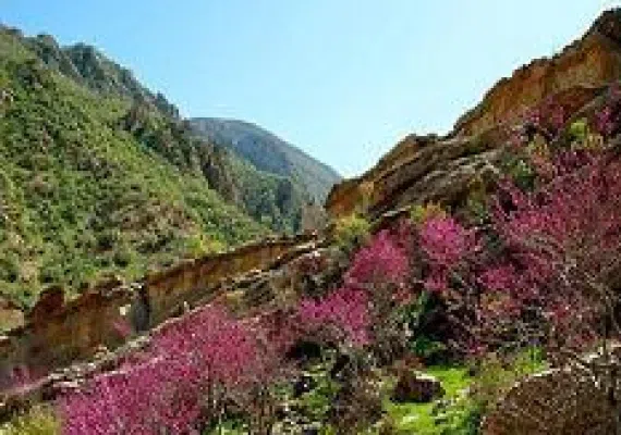 دره ارغوان