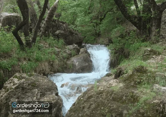آبشار وارک