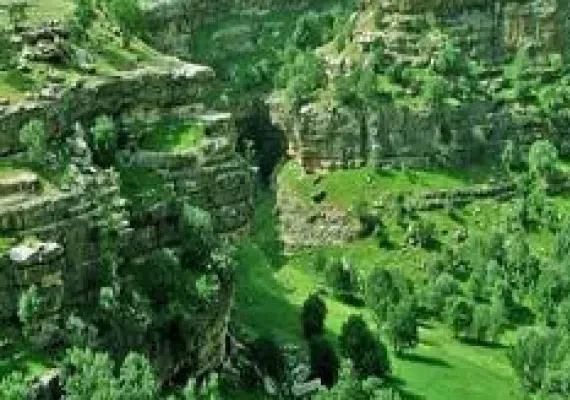 روستای کلم