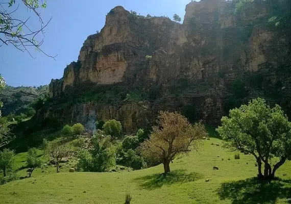 پارک جنگلی ششدار