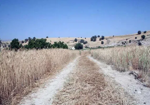 آبشار وه ریز