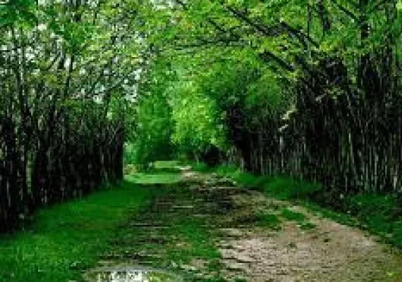 روستای بانقلان