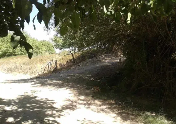 روستای بانقلان