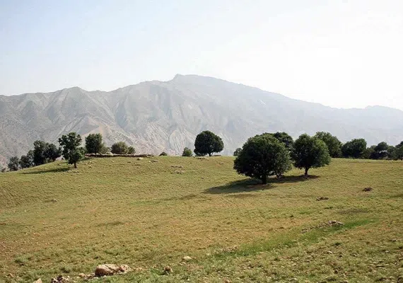 آبشار وه ریز