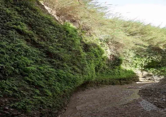 غار زینگان ایلام