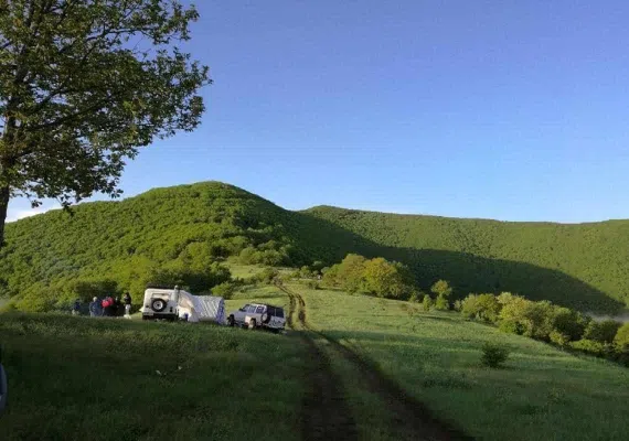 روستای کلم
