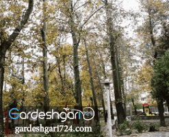 پارک کودک ایلام