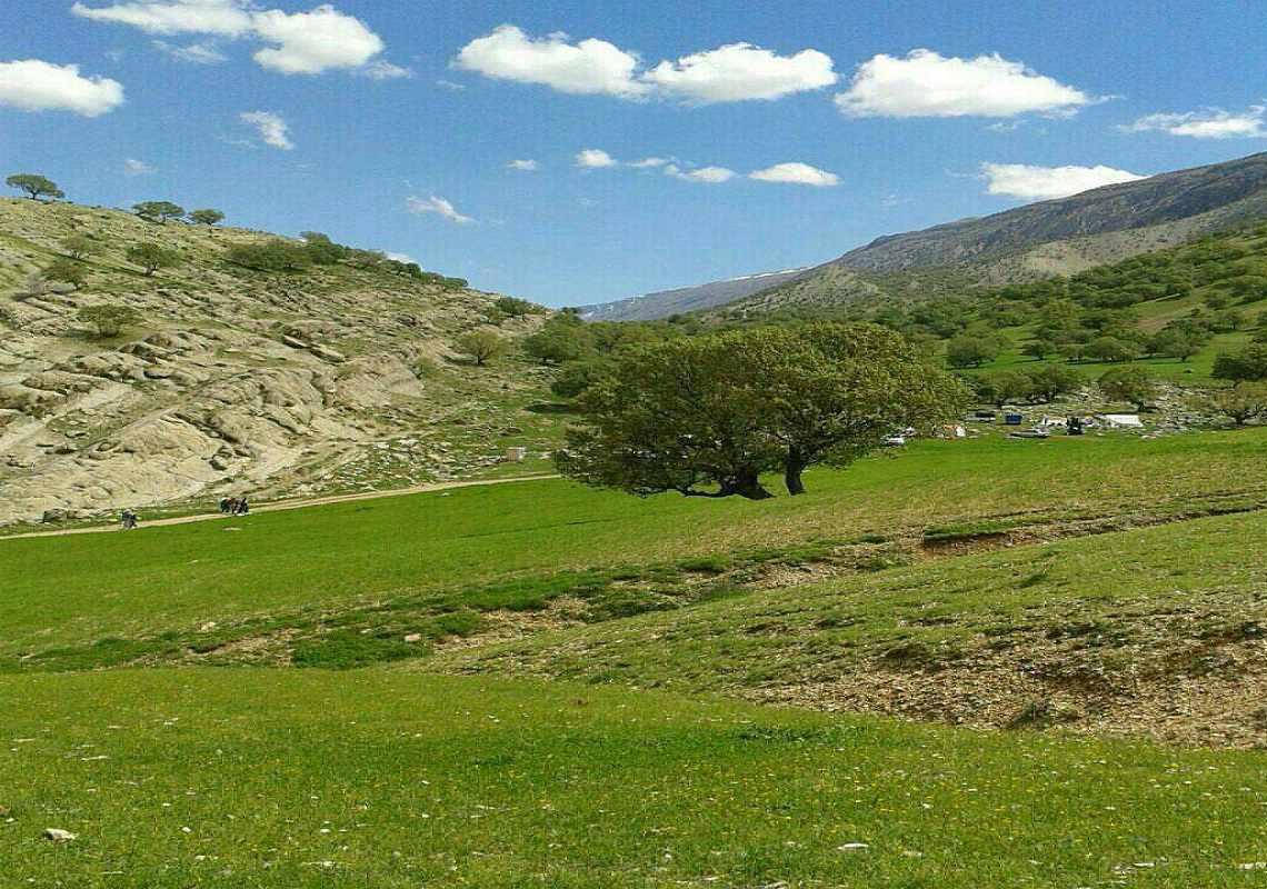 روستای کلم