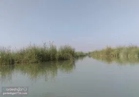 تالاب شادگان