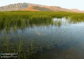 تالاب گندمان کجاست؟
