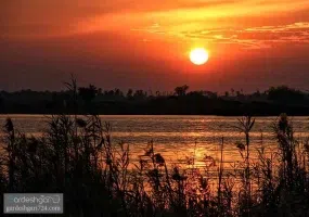 جزیره مینو